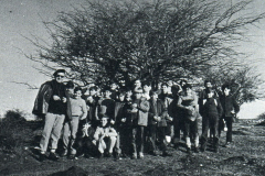 1970-1971243-3