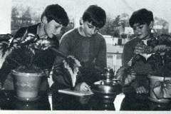1970-71382-2