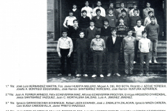 1980-81213.1