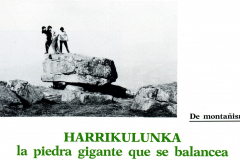 1980-81409.1