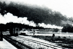 1980-81429.3