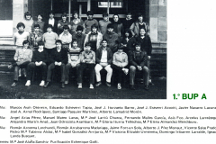 1981-82461.1