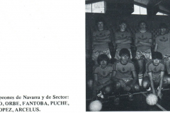 1981-82466.2