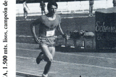 1981-82469.1