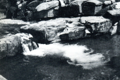 1981-82471.1