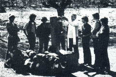 1981-82475.2