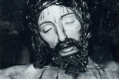 1981-82483.1
