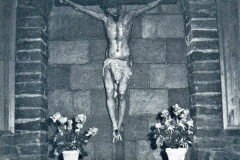 1981-82484.1