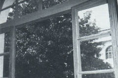 1981-82486.3