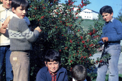 1983-1984248.1
