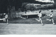 1983-1984265.2