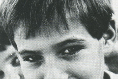 1984-85495.1